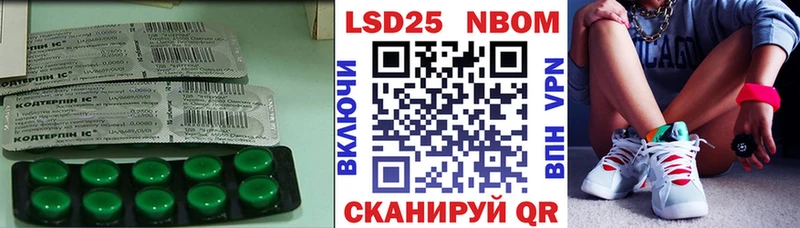 хочу наркоту  Светлогорск  ЛСД экстази кислота 