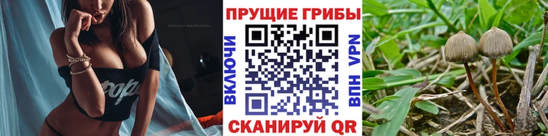 Псилоцибиновые грибы MAGIC MUSHROOMS  Светлогорск 
